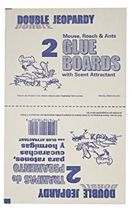 FLAT GLUE BOARDS