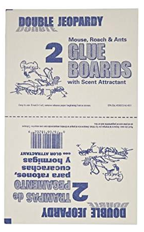 FLAT GLUE BOARDS