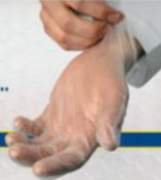 Powdered Disp Vinyl Gloves