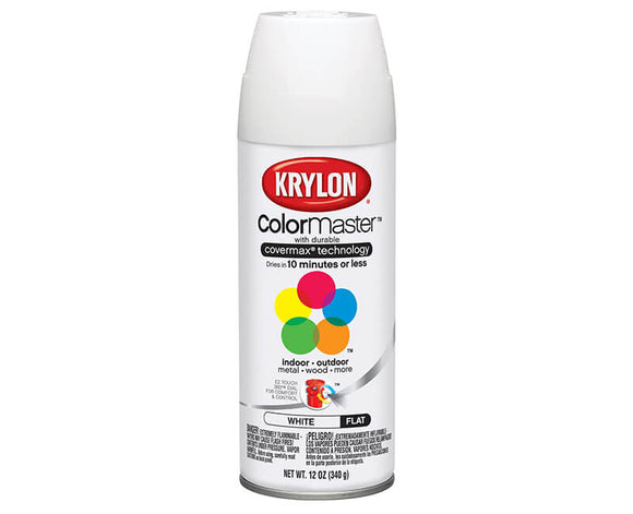 Indoor/Outdoor Spray Paint - Flat White